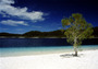 australia - fraser island 2.jpg